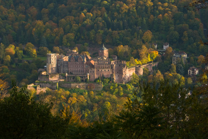 Das Heidelberger Schloss