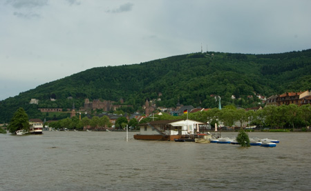 Hochwasser Heidelberg Juni 2013