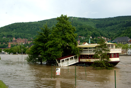 Hochwasser Heidelberg Juni 2013