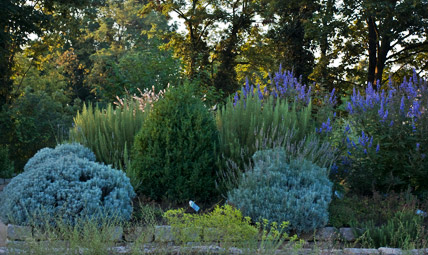 Kräutergarten Kloster Lorsch