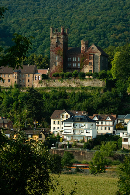 Neckarsteinach, Mittelburg