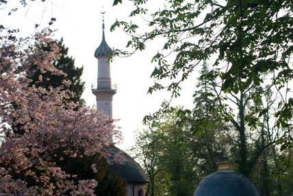 Die Moschee