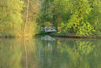 japaniosche Brücke  im Schwetzinger Schlosspark