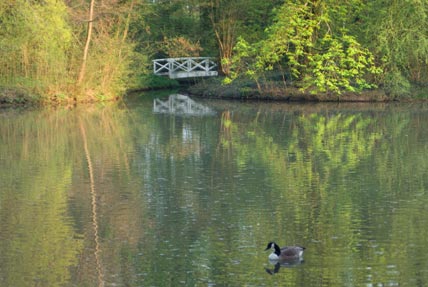 Brücke  im Schwetzinger Schlosspark